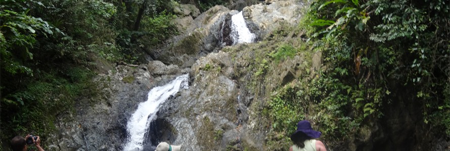 Argyle Waterfall, Tobago.