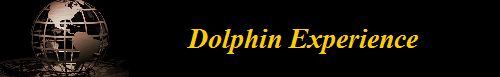 Dolphin Experience           