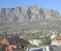 250Capetown 250Capetown