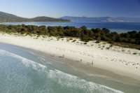 200Walking on Reidle Beach  Maria Island Hi Res