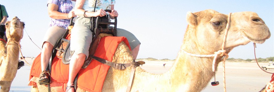 Riding a camel on Cable Beach - Broome, Western Australia