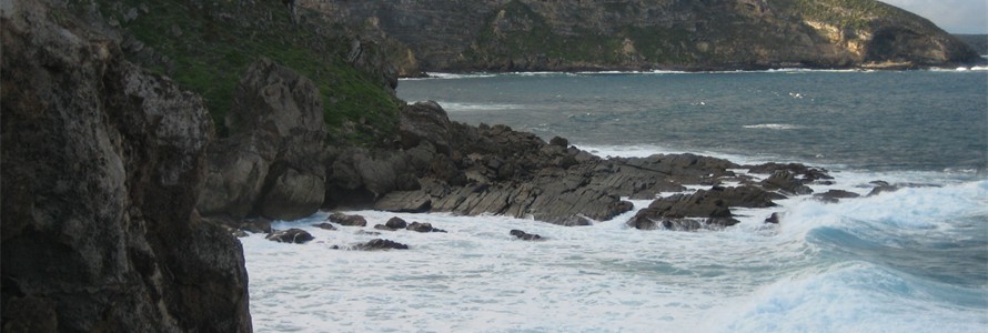 Admiral's Arch - Kangaroo Island, South Australia