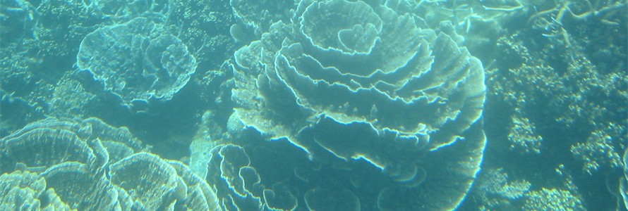 Great Barrier Reef