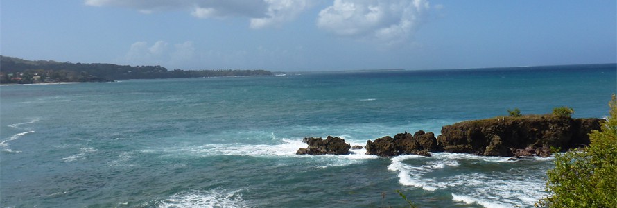 After Carnival it was off to Tobago for a day of rest. 