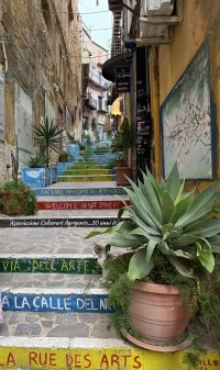 Rue of Arts200