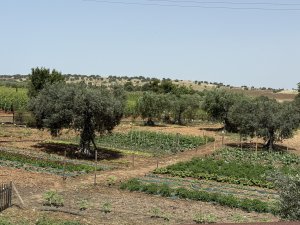landscape300