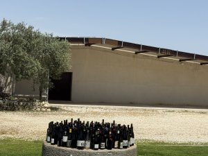 winebottles300