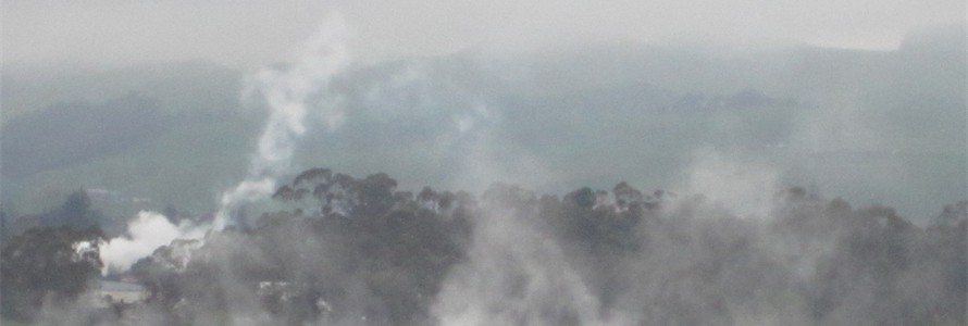 Thermal Wonders of Rotorua, North Island.