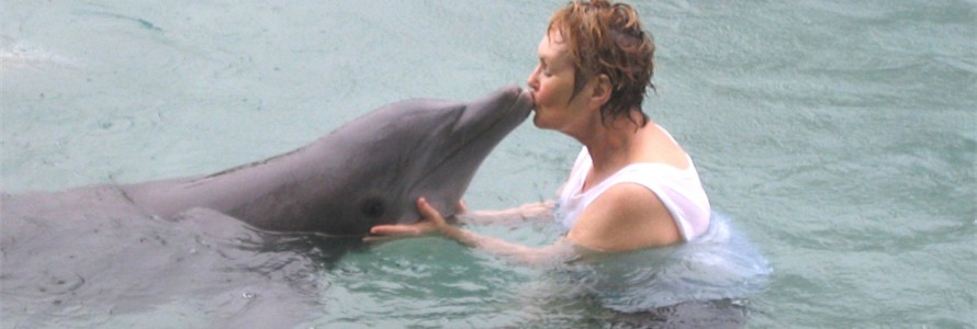 You can have a dolphin encounter at the InterContinental Moorea.