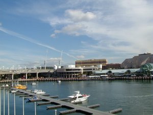 dharbor300hotels[1]